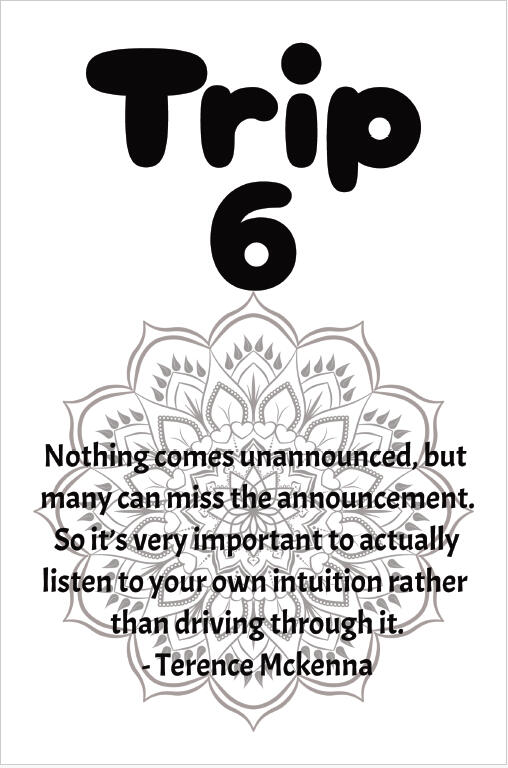Trip 6 Cover Page Featuring a Quote from a Psychedelic Pioneer & Thought Leader Trip 6 Cover Page Featuring a Quote from a Psychedelic Pioneer & Thought Leader