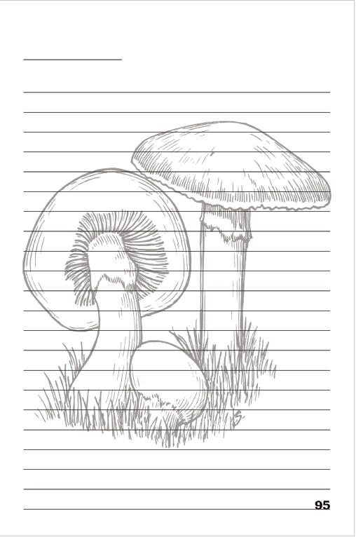 Mushroom Themed Lined Journal Pages for Free Writing and Creative Freedom Mushroom Themed Lined Journal Pages for Free Writing and Creative Freedom