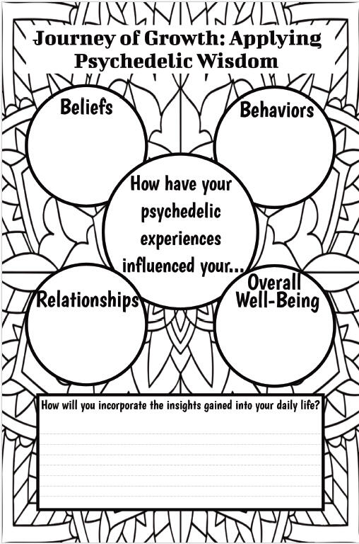 Applying Psychedelic Breakthroughs and Insights to Your Everyday Life Applying Psychedelic Breakthroughs and Insights to Your Everyday Life