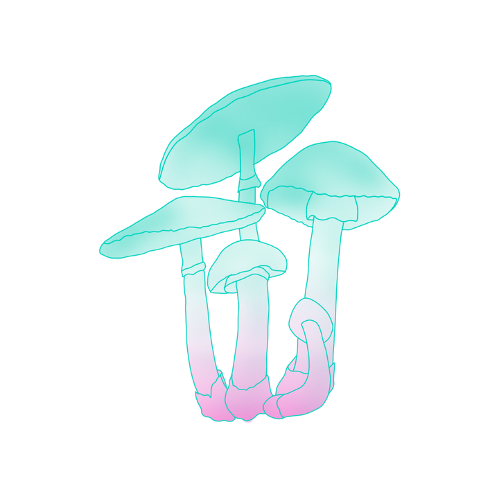 How Microdosing Supports Mood, Creativity & Nervous System Regulation Pastel teal and pink illustration of trippy, yet healing, psilocybin mushrooms, used for psychedelic education and microdosing content.